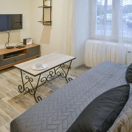 Appart Bambou Rdc - Parking Gratuit- Netflix Bourges Buitenkant foto